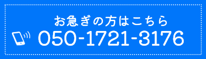050-1721-3176